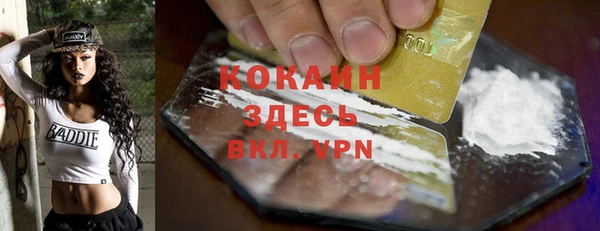 прущие грибы Горно-Алтайск