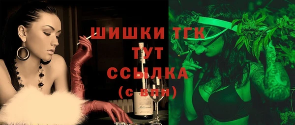 2c-b Горнозаводск