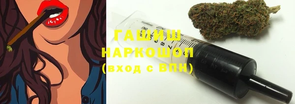 прущие грибы Горно-Алтайск