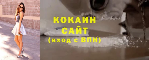 прущие грибы Горно-Алтайск