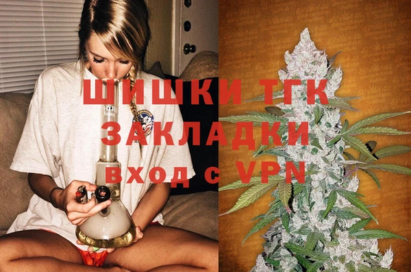 прущие грибы Горно-Алтайск