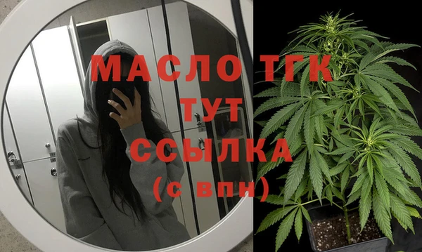 прущие грибы Горно-Алтайск