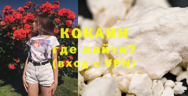 прущие грибы Горно-Алтайск