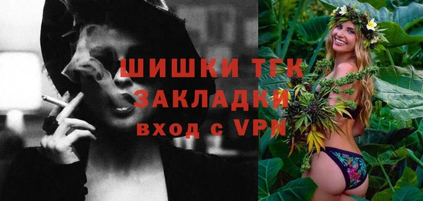 прущие грибы Горно-Алтайск