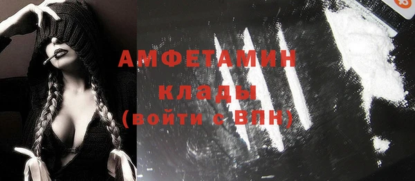 прущие грибы Горно-Алтайск