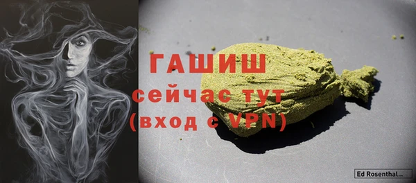 прущие грибы Горно-Алтайск