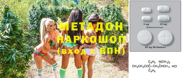 прущие грибы Горно-Алтайск