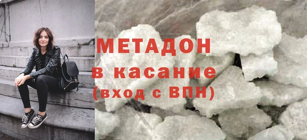 прущие грибы Горно-Алтайск